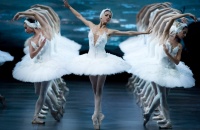 Primera función del Jubileo de la Danza en el Teatro Provincial