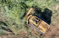 Greenpeace Argentina denuncia desmontes en el Chaco a pesar de la prohibición judicial