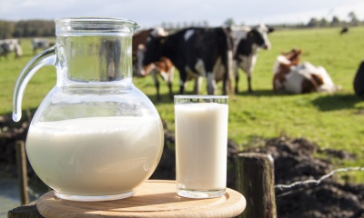 1 de junio: Día Mundial de la Leche