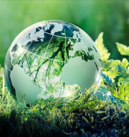 Se celebra hoy el Día Internacional de la Madre Tierra