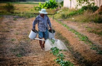 La Argentina celebra hoy el Día del Trabajador Rural