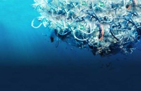 Día Mundial del Medio Ambiente: Sin contaminación por plásticos