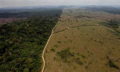 Sudamérica registra la mayor pérdida de bosques del planeta en la última década