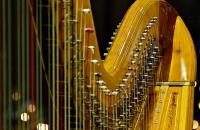 Concierto de la Orquesta Sinfónica Infantil y Juvenil en el Teatro Provincial