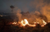 Balance medioambiental del 2021 por Greenpeace Argentina
