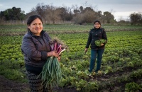 Financiar el primer kilómetro