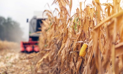 El conflicto en el estrecho de Ormuz amenaza el precio mundial de los alimentos