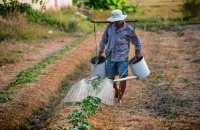 Un nuevo informe de la FAO arroja luz sobre las dificultades y perspectivas para millones de jóvenes