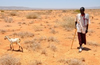 La OMM confirma a un 80% la aparición de El Niño, que provocará fenómenos meteorológicos más extremos