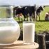 1 de junio: Día Mundial de la Leche