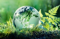 Se celebra hoy el Día Internacional de la Madre Tierra