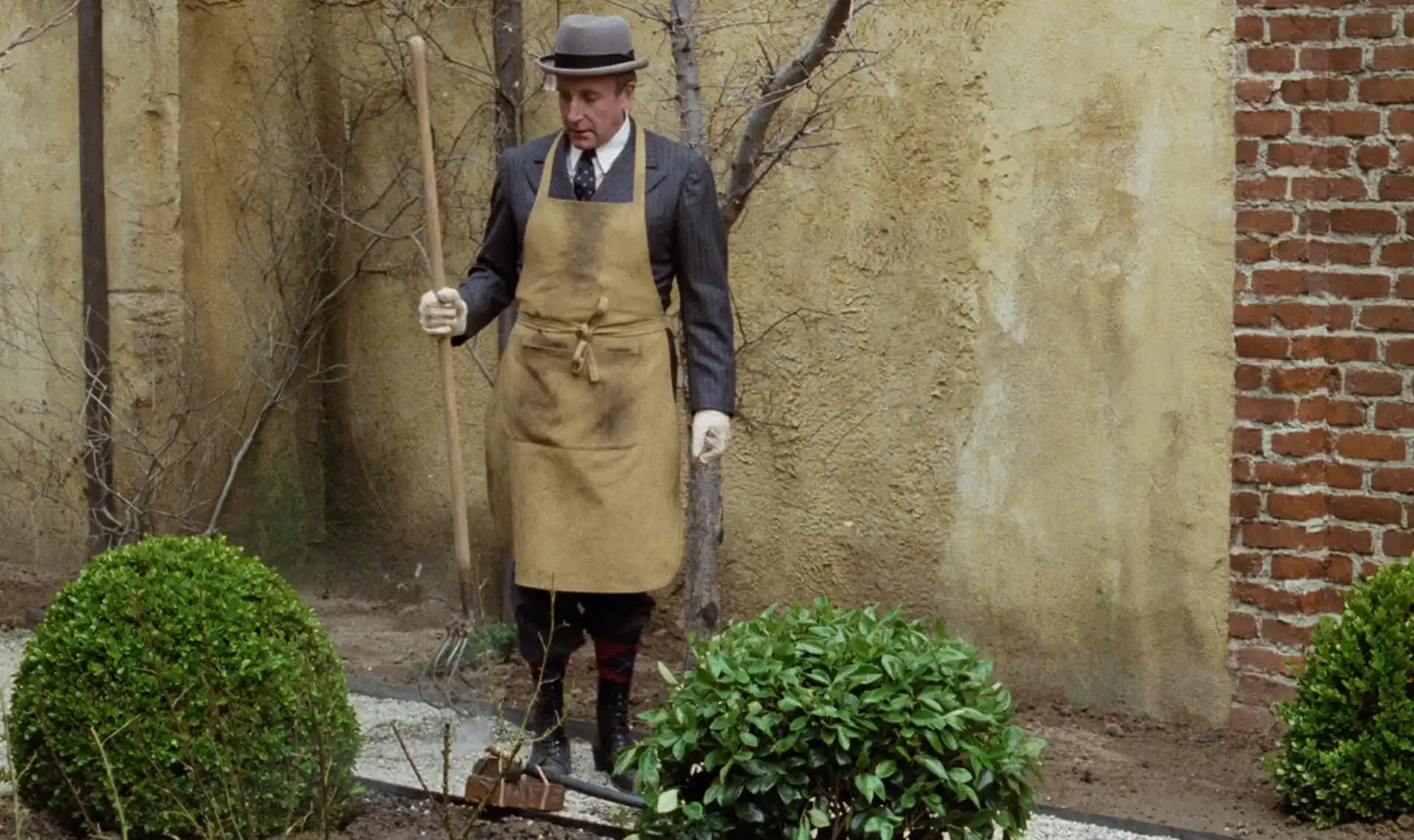'Desde el jardín', esta tarde en el cine arte de la Biblioteca de la Legislatura Dr. J. Armando Caro