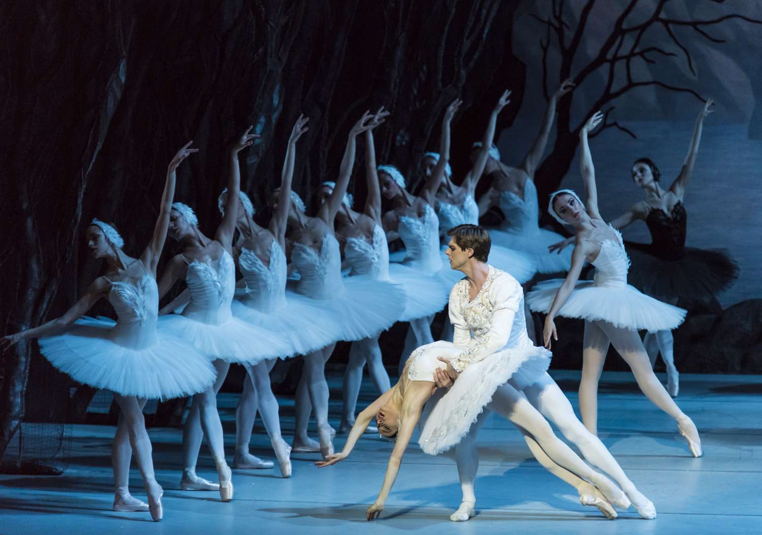 El Ballet de la Provincia presenta esta noche 'El lago de los cisnes'