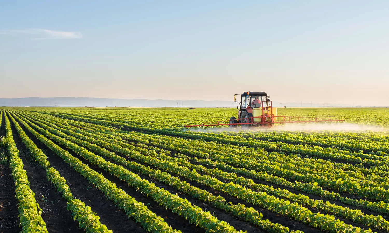 Los precios de los alimentos suben por la crisis energética y las tensiones en Oriente Medio