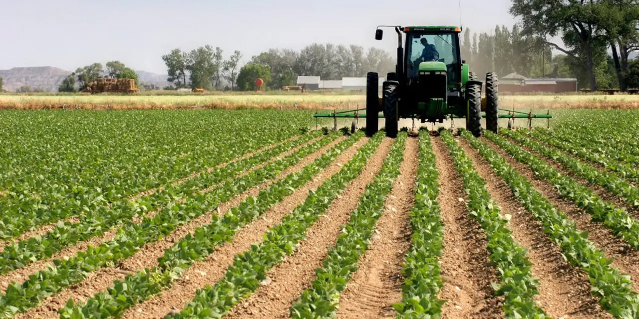 El índice de precios de los alimentos de la FAO se mantuvo en general estable en mayo