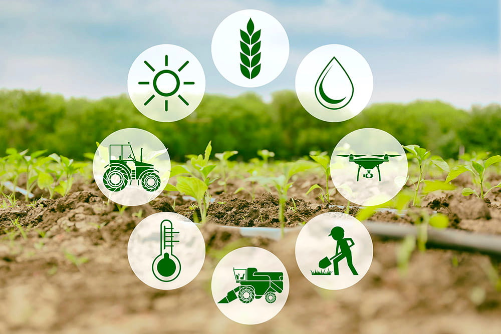Se celebra hoy el Día Mundial de la Agricultura