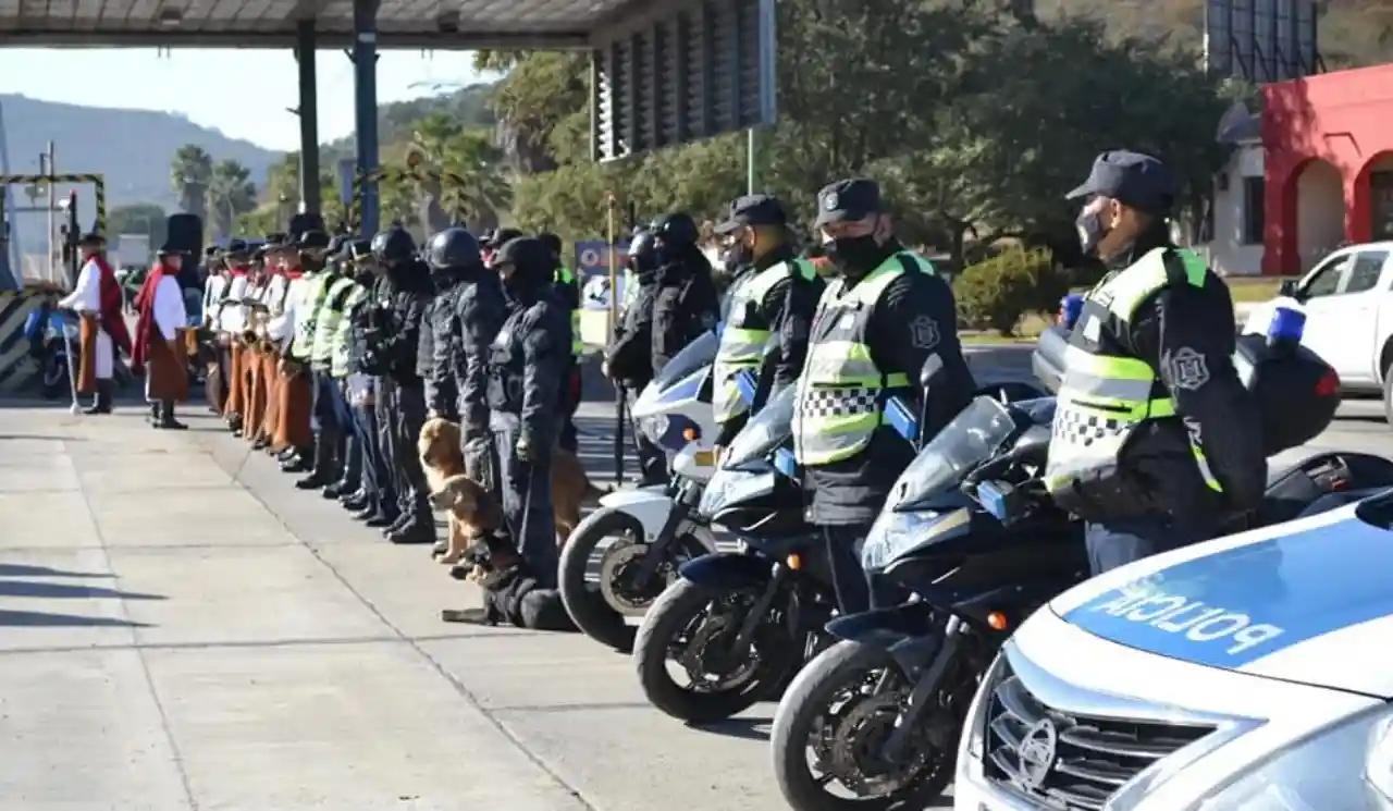 Más perros que motos