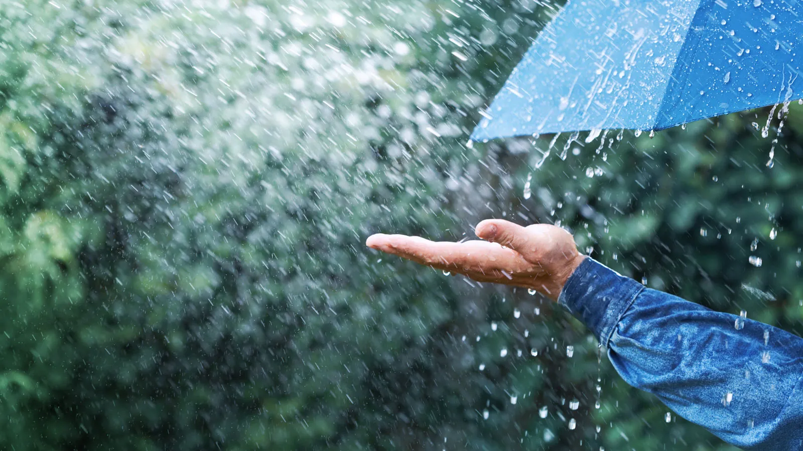 Alerta por lluvias intensas y tormentas en la mitad este de Salta