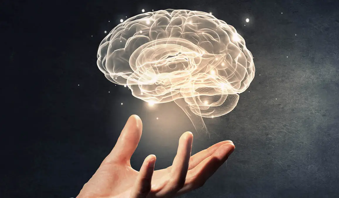 Salud cerebral y discapacidad: no dejar a nadie atrás
