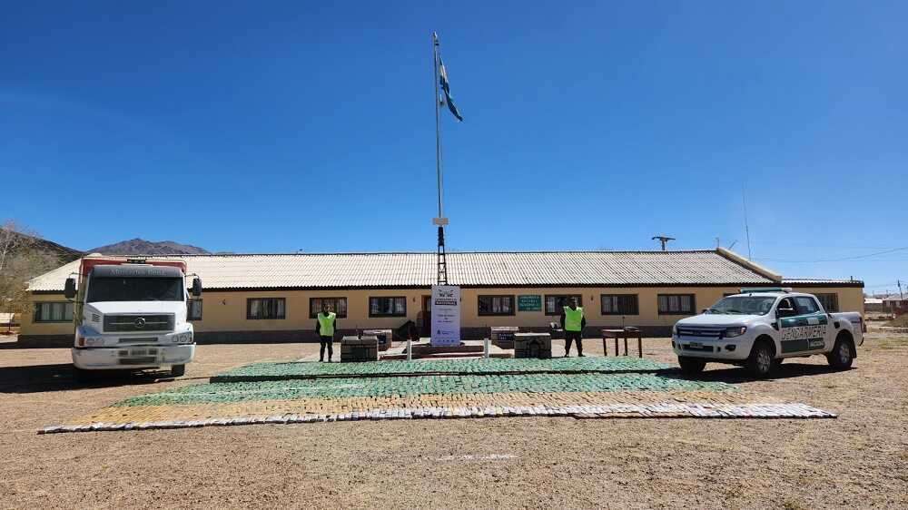 Gendarmería secuestra en Salta más de una tonelada de hojas de coca 