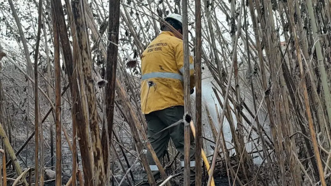 Sofocados varios incendios de pastizales en barrios de Salta