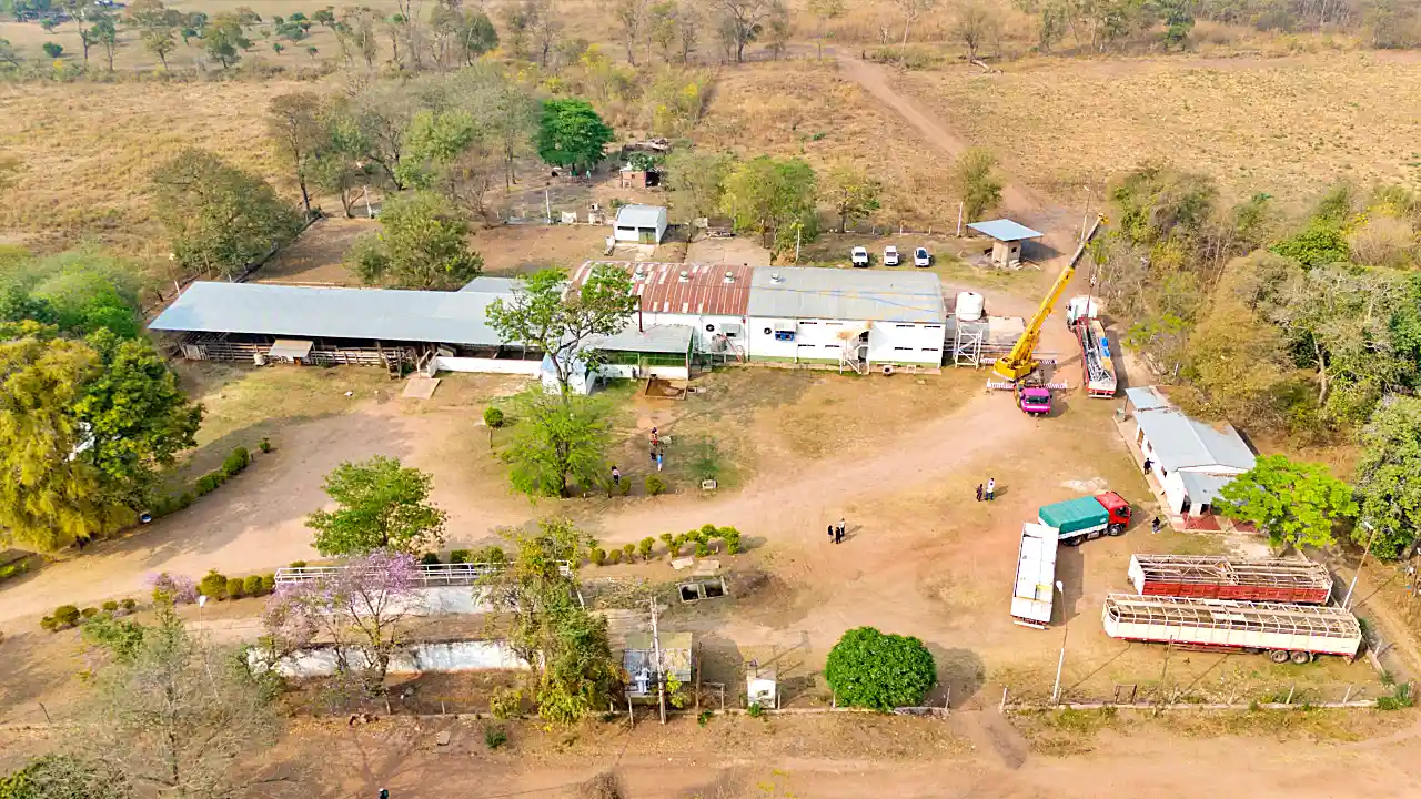 Matadero de Tartagal