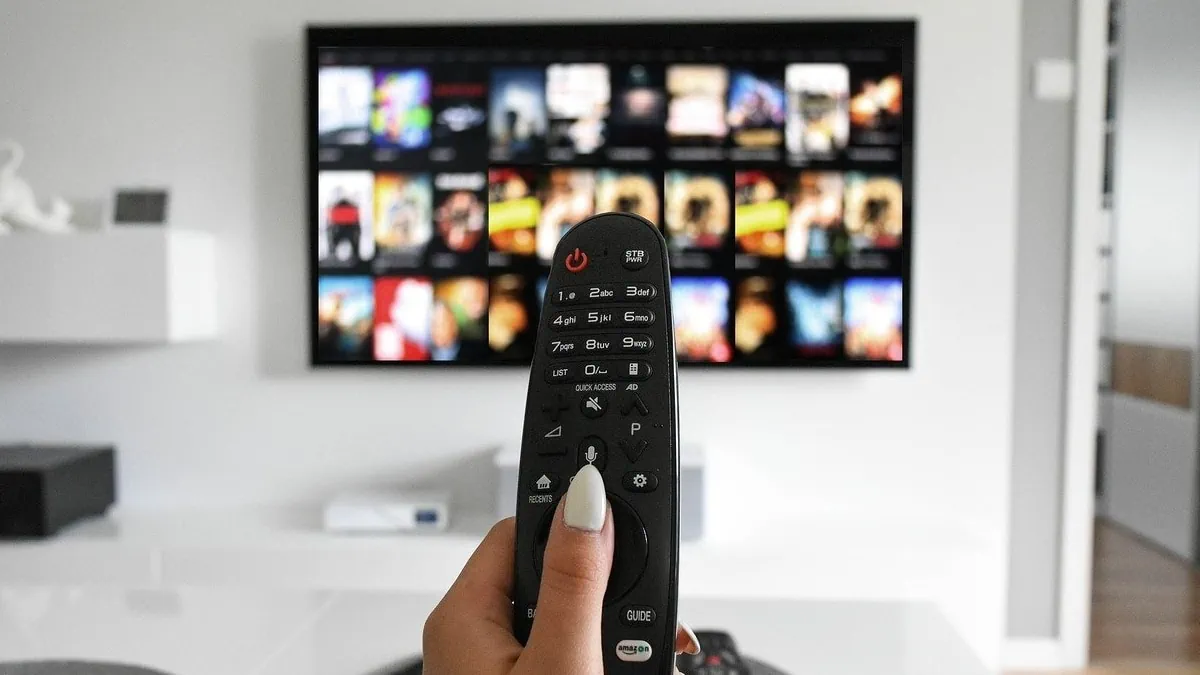 21 de noviembre: Día Mundial de la Televisión