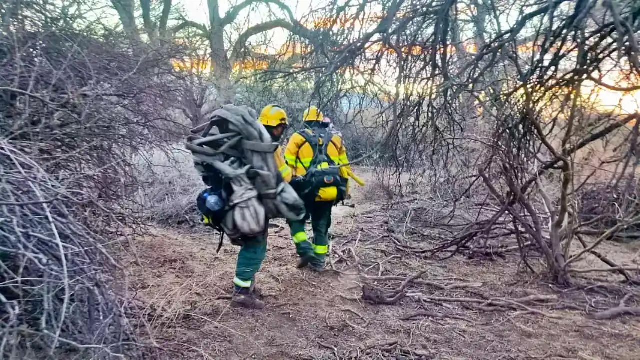 Defensa Civil de Salta declara 'contenido' el incendio forestal en Cafayate