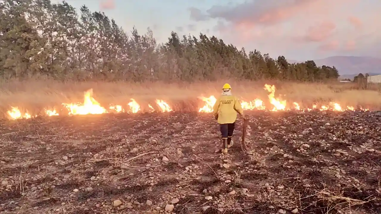 Alerta rojo en Salta y sus alrededores por incendios a causa del viento Zonda