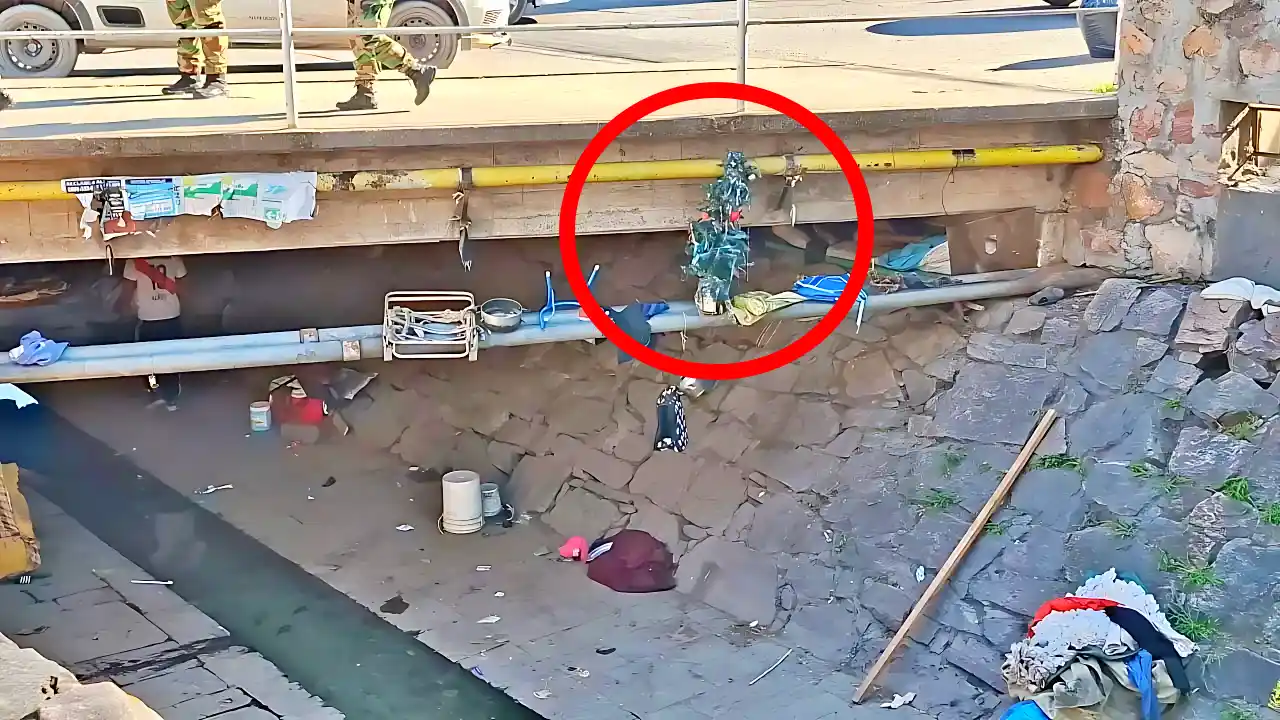 Limpieza bajo el puente de la Esteco y Tucumán