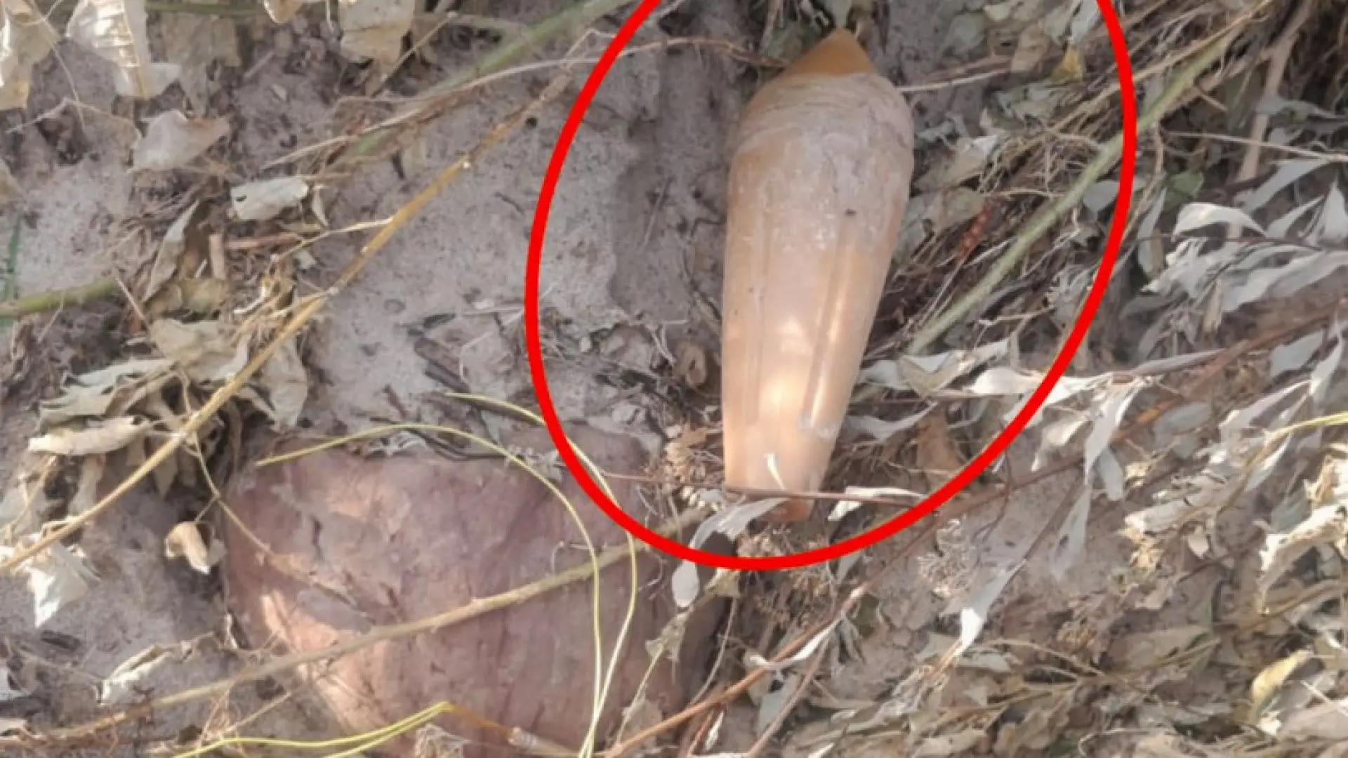 Encuentran un artefacto explosivo sísmico en una zona rural de la ciudad de Tartagal