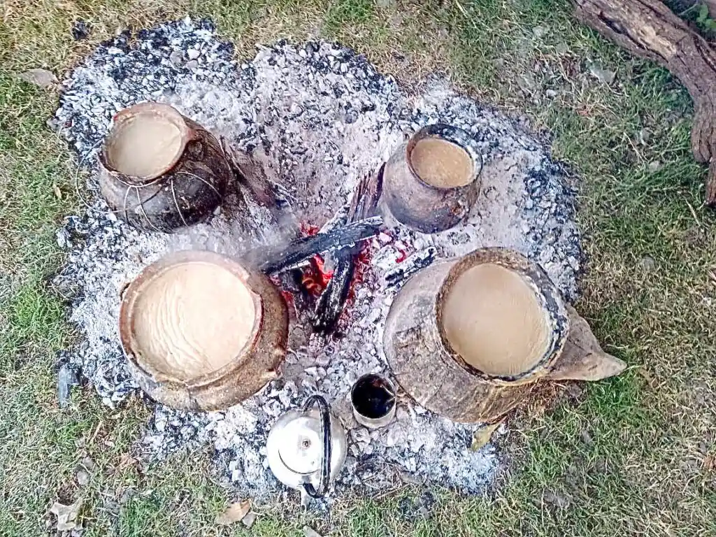 'Sabores de la Quebrada del Toro': un encuentro con la cocina andina