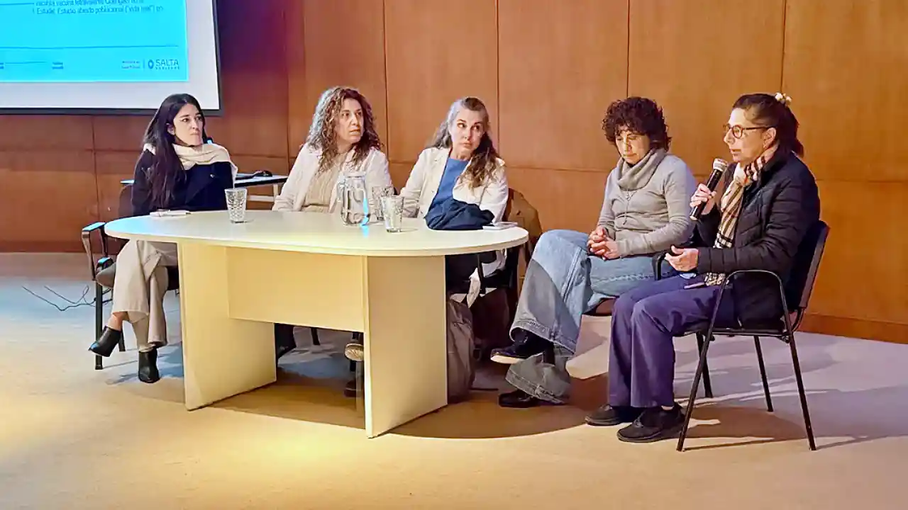 Jornadas en el hospital materno infantil de Salta