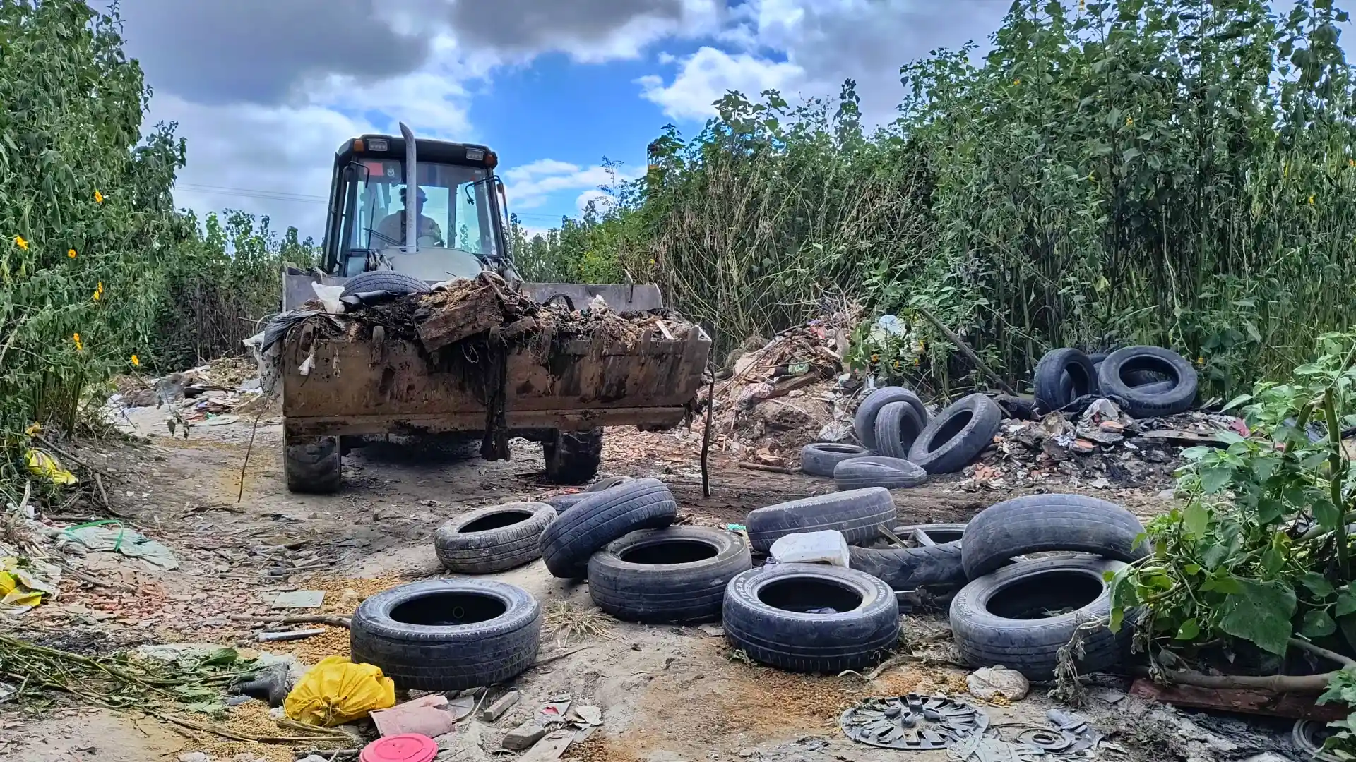 Limpieza en el barrio San Calixto