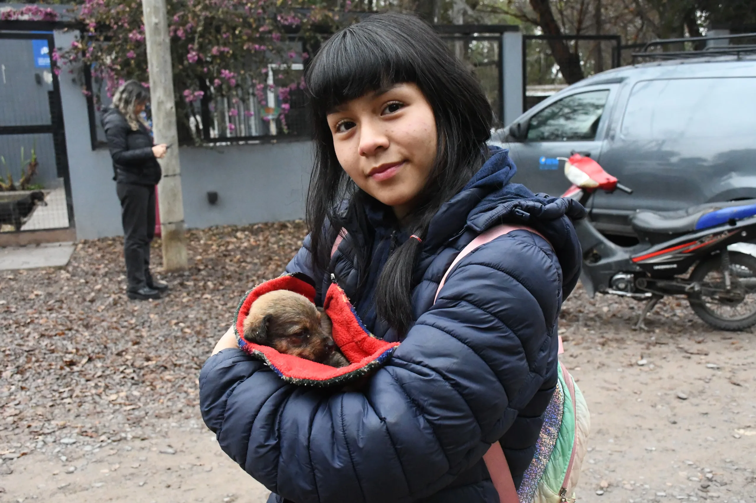 Campaña 'Adopta un amigo': tu mascota te espera