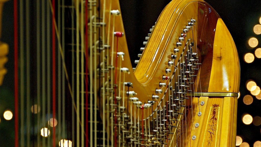 Concierto de la Orquesta Sinfónica Infantil y Juvenil en el Teatro Provincial