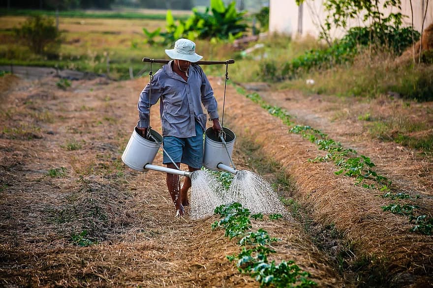 Se celebra hoy en la Argentina el Día del Trabajador Rural