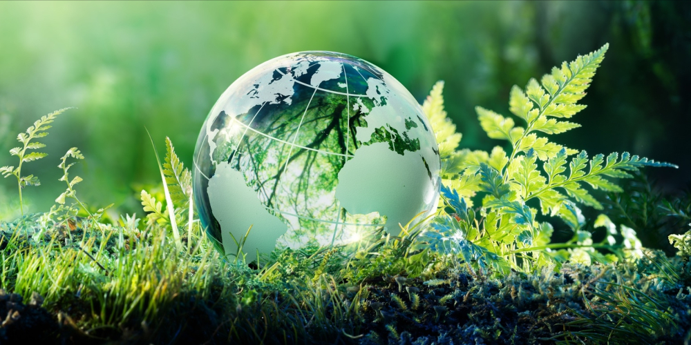26 de enero: Día Mundial de la Educación Ambiental