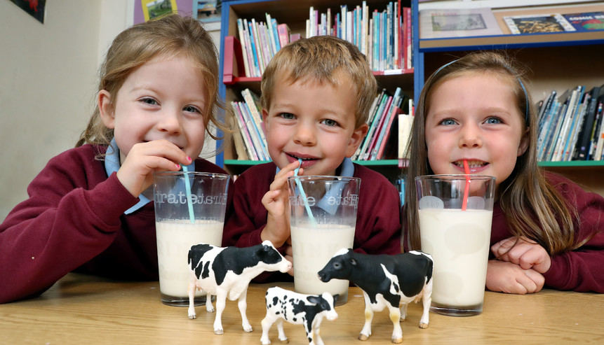 Se celebra hoy el Día Mundial de la Leche Escolar