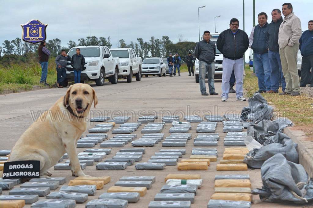 La producción y consumo de cocaína se dispara y diversifica