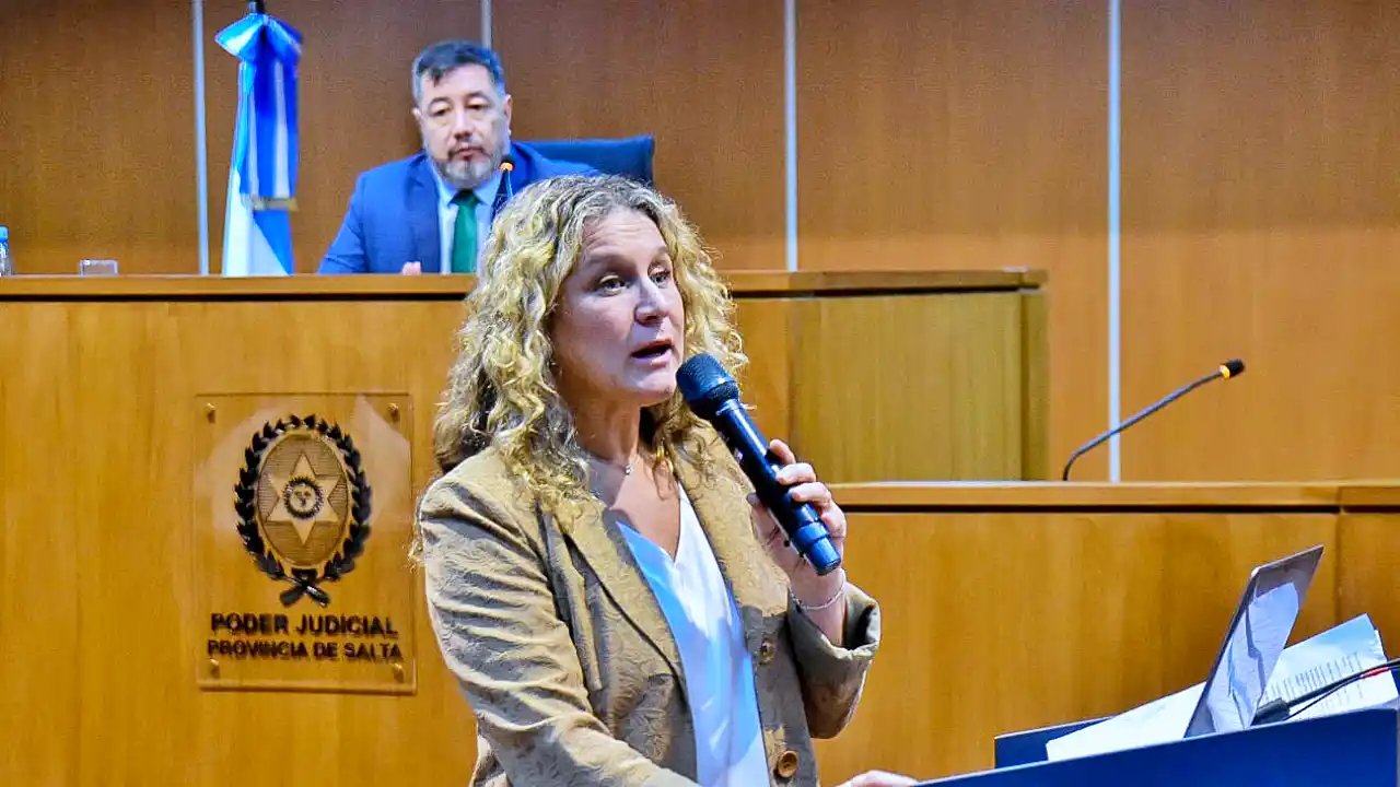 El sistema adversarial penal y la necesaria adecuación del rol de los fiscales en Salta