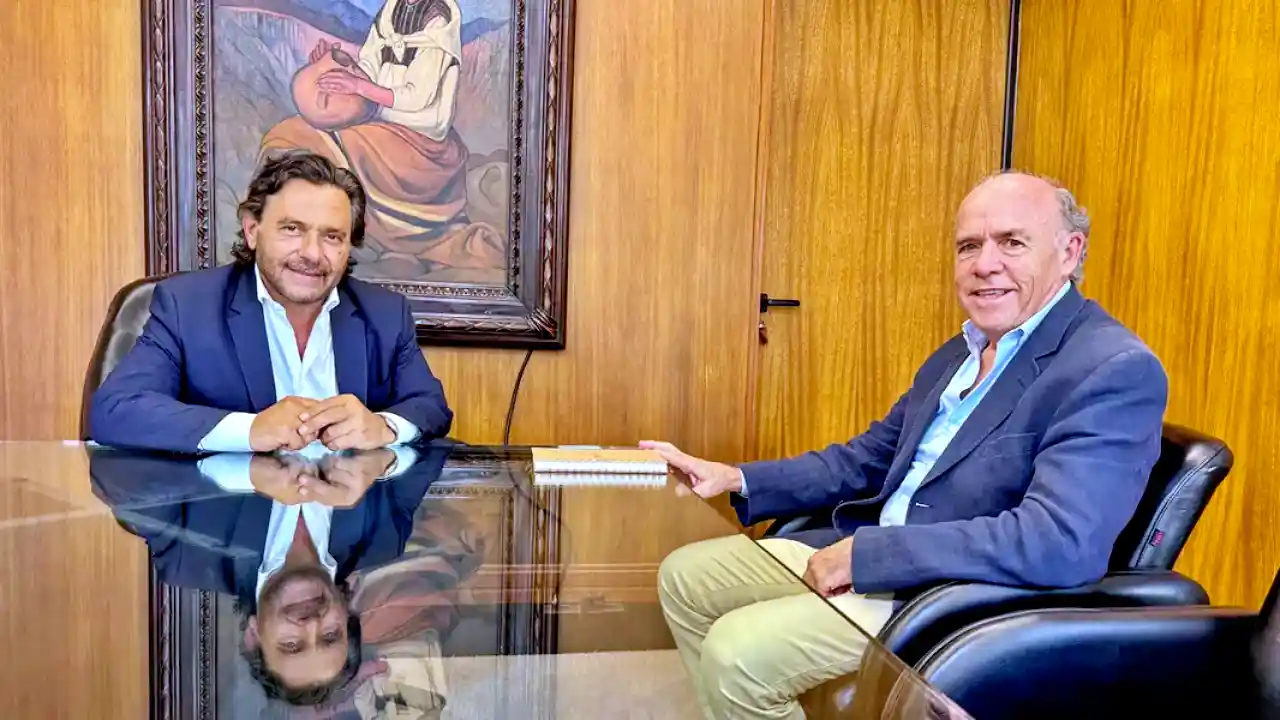 Gustavo Sáenz y Eduardo Gómez Naar
