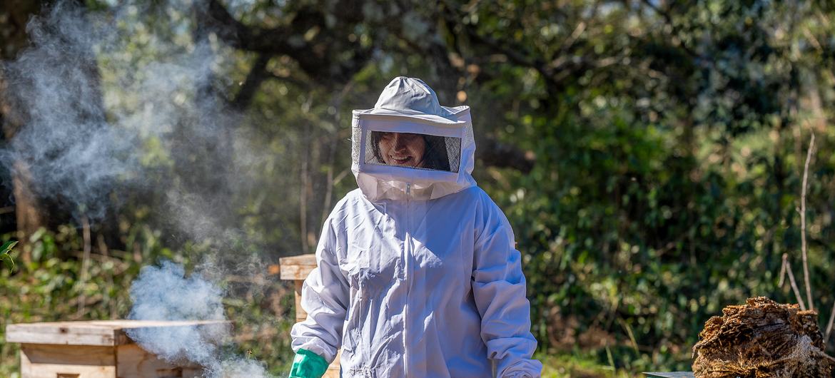 Revertir la deforestación mediante el empoderamiento de las comunidades rurales en América del Sur