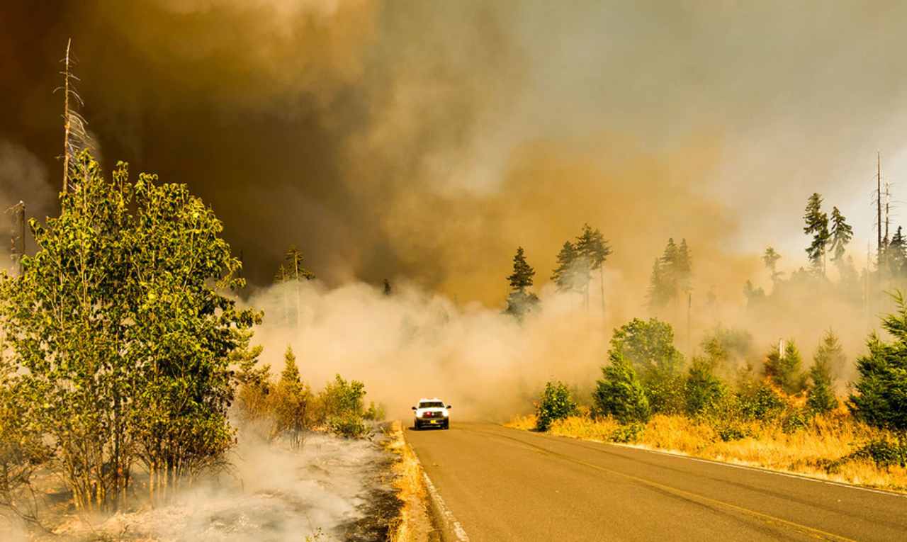 El aumento de los incendios forestales provocados por el clima exige más inversión en prevención