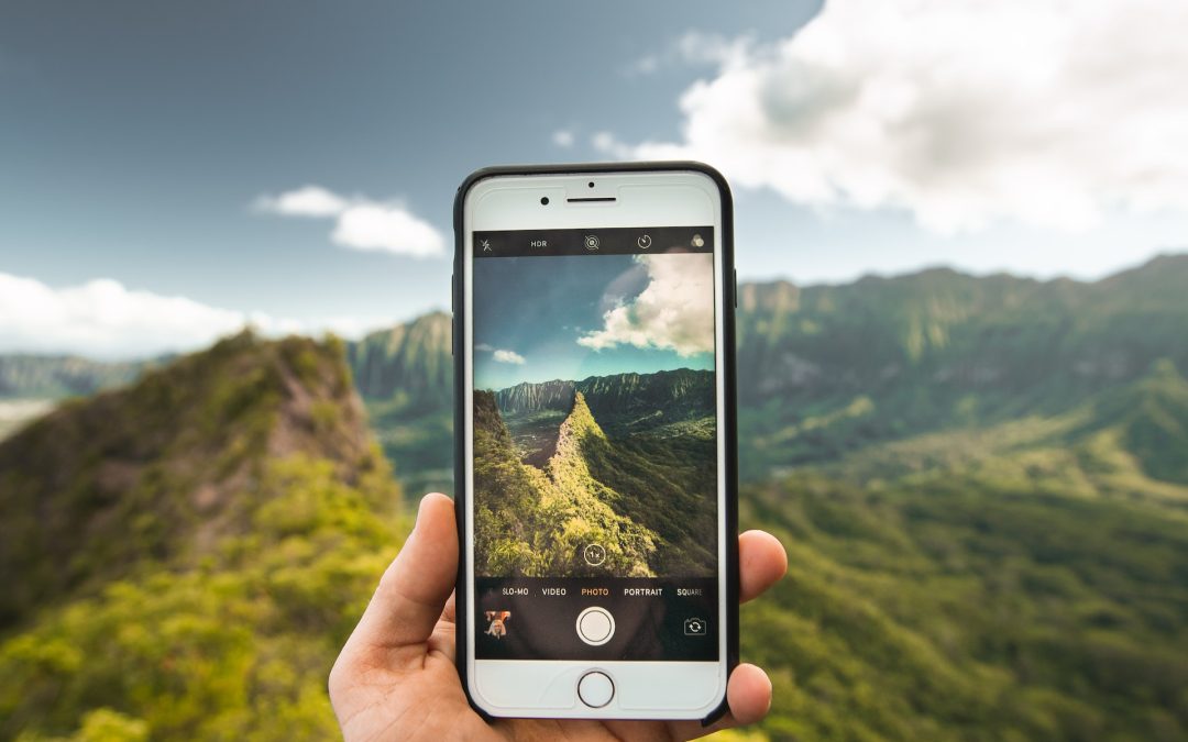 Todavía se puede participar en el concurso de fotografía de la biodiversidad