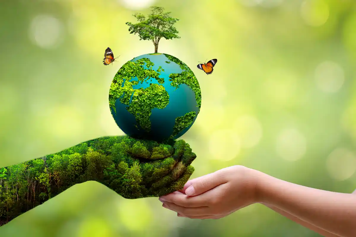 Medio ambiente