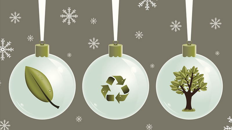 Ecocanje especial Navidad en los parques urbanos de Salta