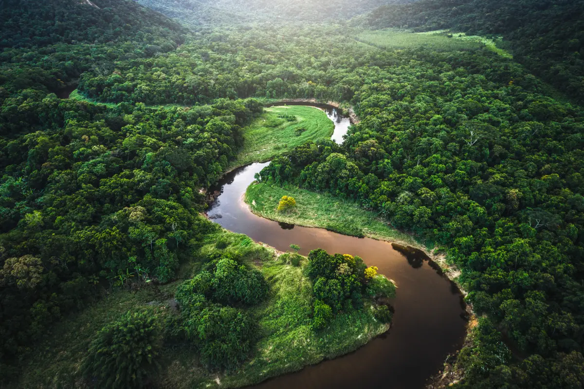 Armonía con la naturaleza y desarrollo sostenible