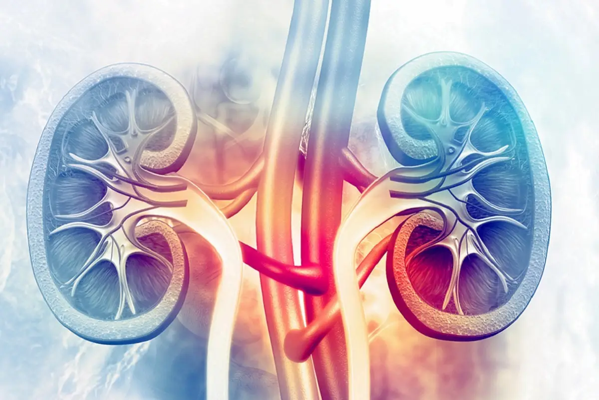 Necesitamos hablar sobre cómo vivir con cáncer de riñón