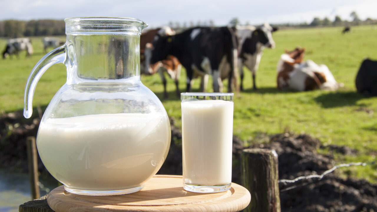 1 de junio: Día Mundial de la Leche